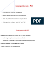 3 Electrophorèse AN 1