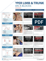 Plan A - Upper and Lower Limb