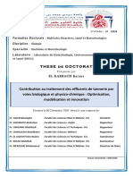 Contribution Au Traitement Des Effluents de Tannerie Par Voies Biologique Et Physico-Chimique - Optimisation, Modélisation Et Innovation