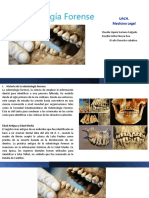 Odontología Forense