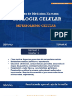 Semana 7 - Metabolismo Celular