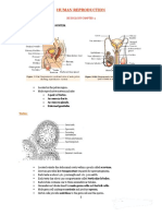 Human Reproduction