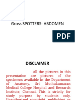 4.abdomen and Pelvis Gross Spotters