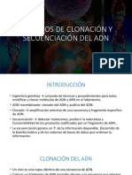 Clonación y Secuenciación Del Adn