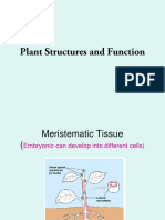 Plant Structure Function