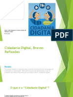 Cidadania Digital, Breves Reflexões