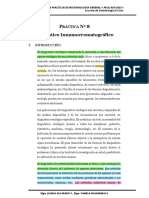 Práctica 8 - Diagnóstico Inmunocromatográfico