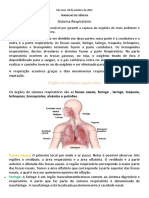 Sistema Respiratório