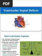 Ventricular Septal Defect