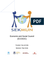 Ecosoc Guide 2