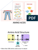 Amino Acids