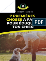 Educ Dog 7 Premieres Choses A Faire Pour Eduquer Son Chien