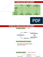 Circulation Lec 2 Part-2