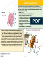 Aparato de Golgi