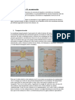 Absorción de Na y CL