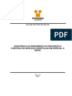 Allan PDF