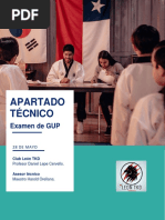 Apartado Técnico Examen de GUP León TKD