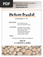 Brigada N°1 - Informe 7