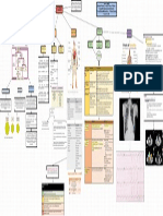 Mapa - Insuficiencia Cardiaca - Nayeli Pinto