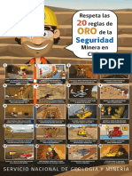 Afiche 20 Reglas de Oro Original