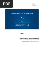 Día Del Mercosur Marco General