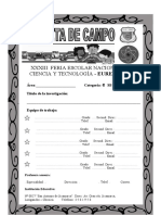 Formato Carpeta Campo Ciclo Vii