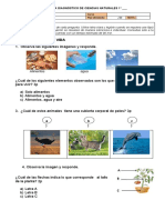 Prueba Diagnostico Ciencias Naturales 1ºA y B