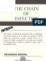 The Chain of Infection