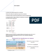 Potencial de Membrana en Reposo