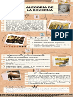 Infografía de Proceso Proyecto Collage Papel Marrón