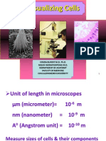 MDCU Visualizing Cells