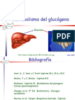 Metabolismo Glucogeno