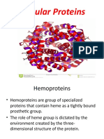 6.globular Proteins