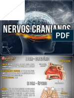 Nervos Cranianos