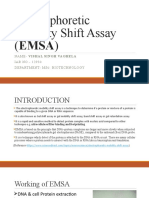 EMSA