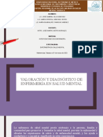 Valoración y Diagnostico de Enfermeria en Salud Mental