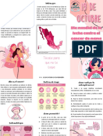 Folleto Cancer de Mama 1