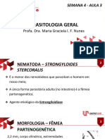 3 - Strongyloides Stercoralis 4-3