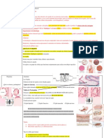 Materia Completa Histología