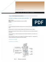 Activite Cardiaque Et Pression Arterielle - Ts Sunudaara