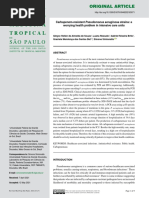 Carbapenem-Resistant Pseudomonas Aeruginosa Strains A