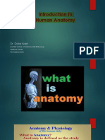 Anatomy Introdaction