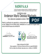 Curso de Alturas