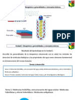 Unidad 1. Tema3y4. Hidrofobicas e Hidrofilicas, Osmosis, Acidos y Bases-pH y Buffers