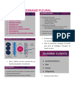 Derrame Pleural