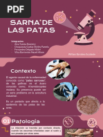 EP - PPT - Sarna de Las Patas