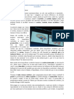 Oclusion 9 Mecanismos Neuromusculares PDF