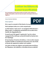 Comment Utiliser Les Bâtons de Palo Santo Pour La Purification