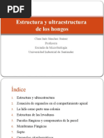 Estructura y Ultraestructura de Los Hongos