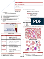 Lecture 7 Histology of Blood